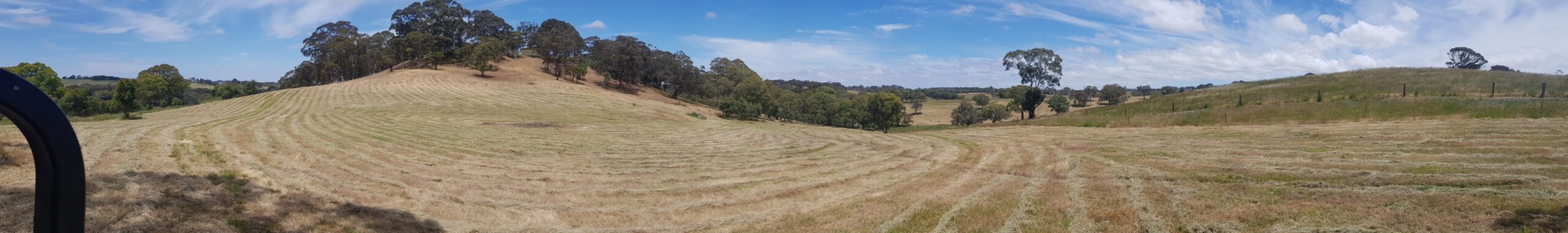 Field panorama